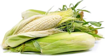 Elote Blanco