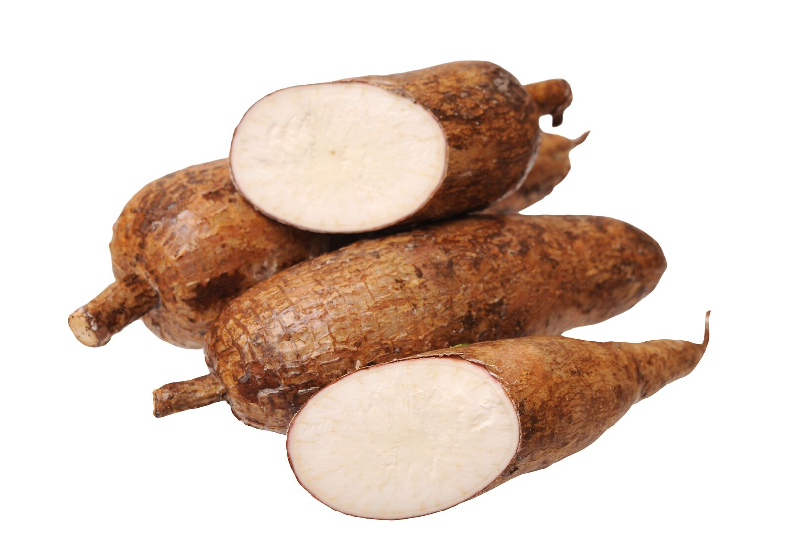 Yuca